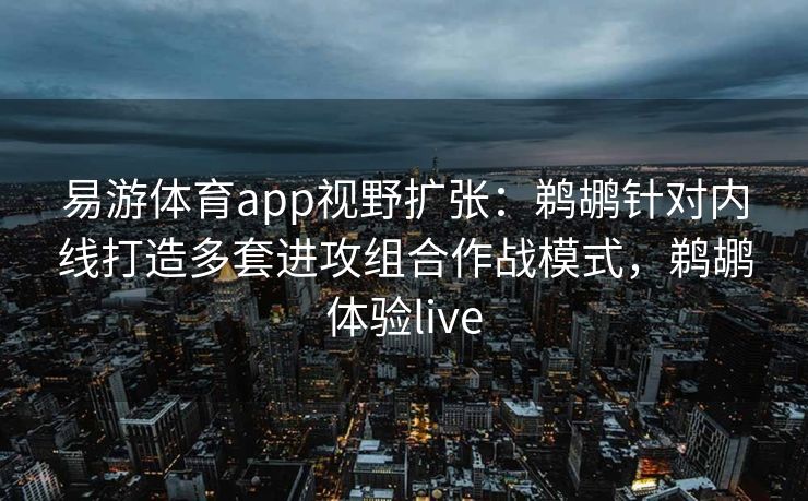 易游体育app视野扩张：鹈鹕针对内线打造多套进攻组合作战模式，鹈鹕体验live  第1张