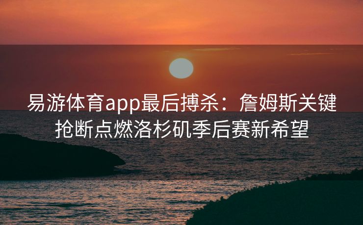 易游体育app最后搏杀：詹姆斯关键抢断点燃洛杉矶季后赛新希望  第2张