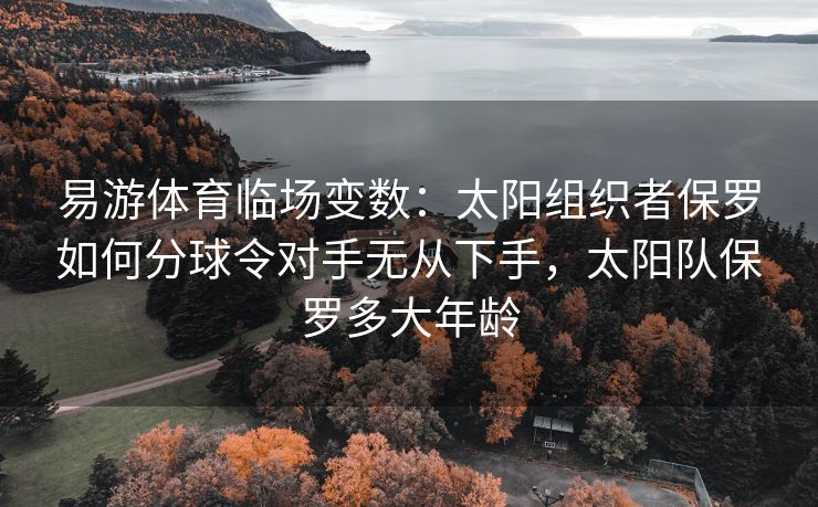 易游体育临场变数：太阳组织者保罗如何分球令对手无从下手，太阳队保罗多大年龄